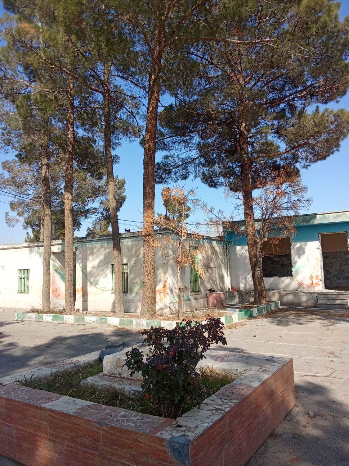 پویا چوب|خدمات باغبانی و درختکاری|گناباد, |دیوار