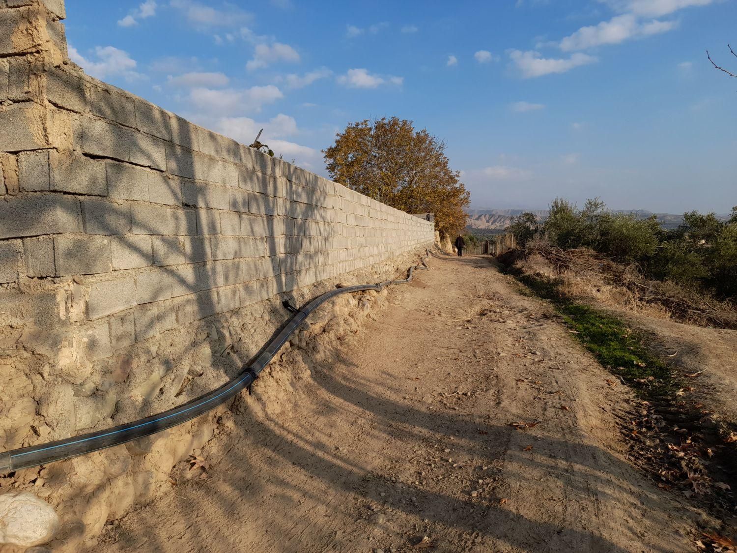 فروش زمین مسکونی وباغ زیتون|فروش زمین و ملک کلنگی|طارم, |دیوار