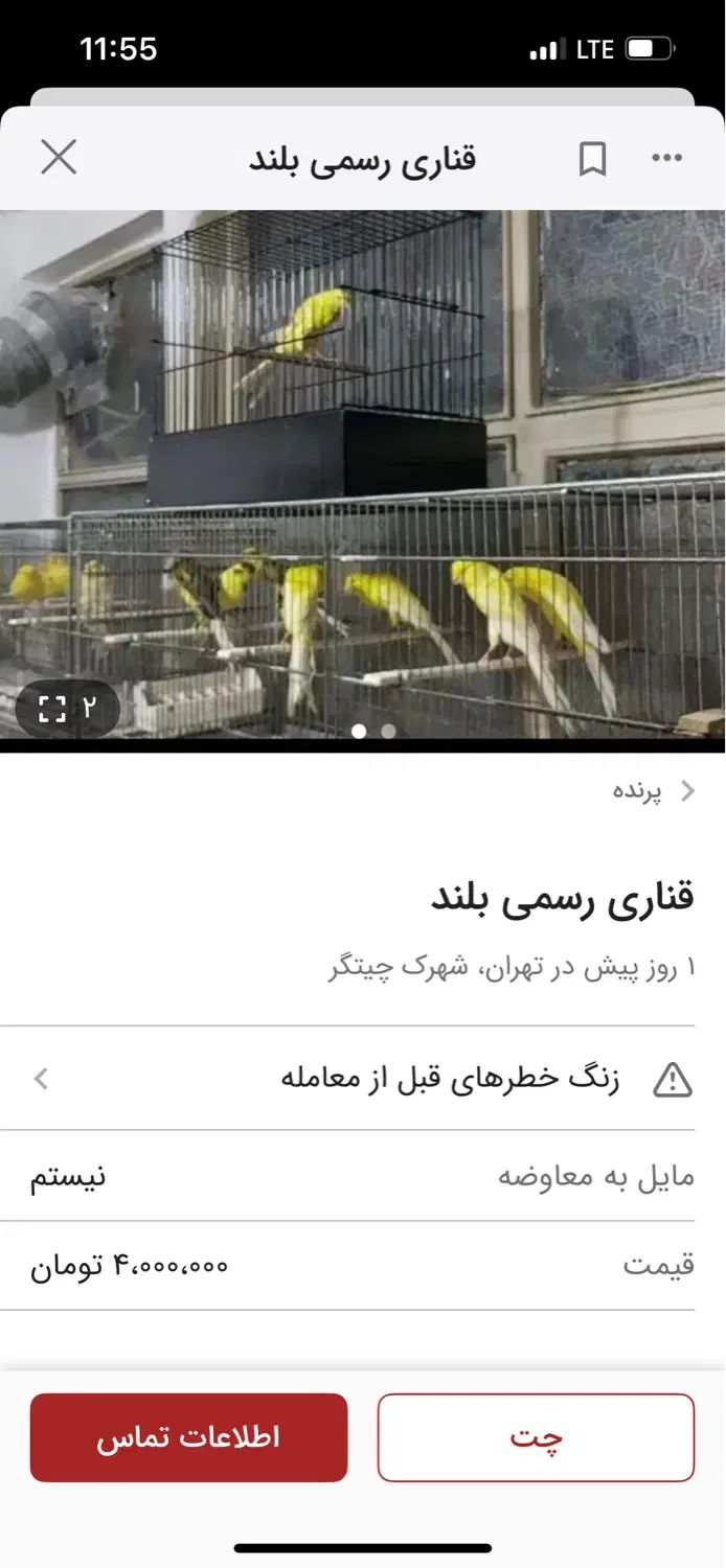 قناری کشیده بلند شاخص لطفا متن را بخونید|فعالیت داوطلبانه|تهران, آبشار تهران (دریاچه)|دیوار