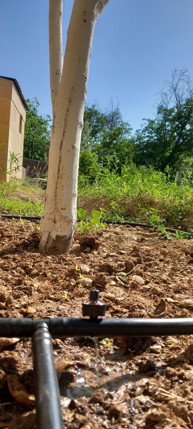 آبیاری قطره ای و پمپ های آبرسانی|خدمات باغبانی و درختکاری|تهران, چیتگر جنوبی|دیوار