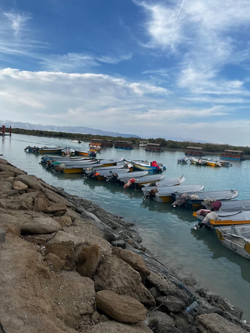 تور قشم گشت جزیره قشم|تور و چارتر|قشم, |دیوار