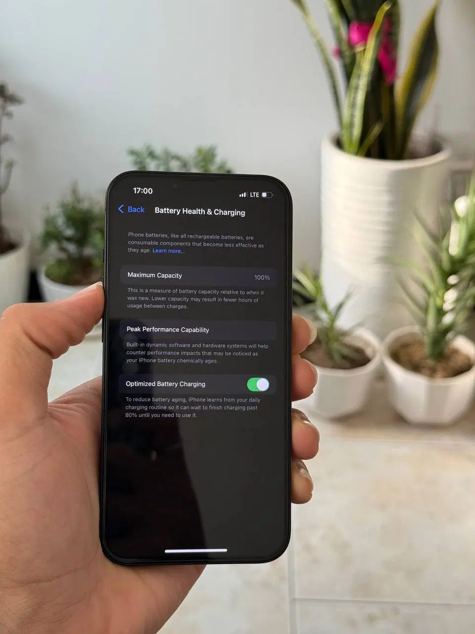 iPhone 13 -128|موبایل|تهران, مرزداران|دیوار