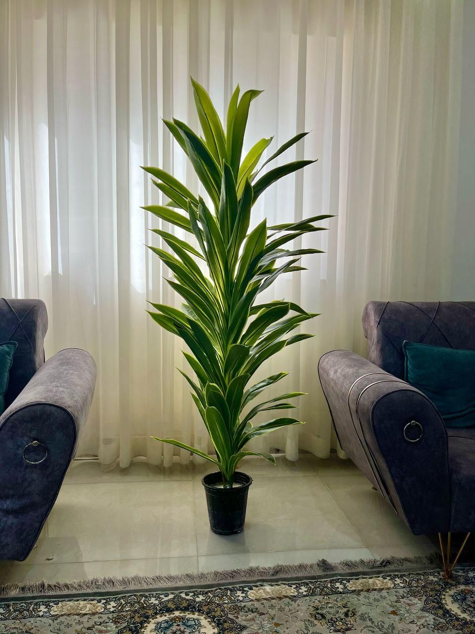 درختچه مصنوعی|گل مصنوعی|رشت, دروازه لاکان|دیوار