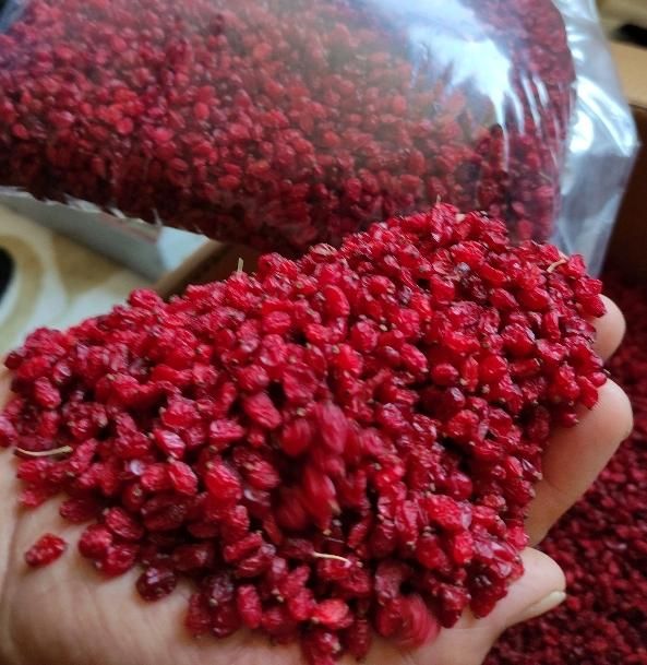 زرشک پفکی خشک|خوردنی و آشامیدنی|اصفهان, شمس آباد|دیوار