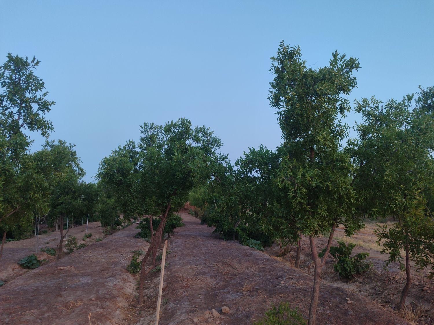 تصویر 9