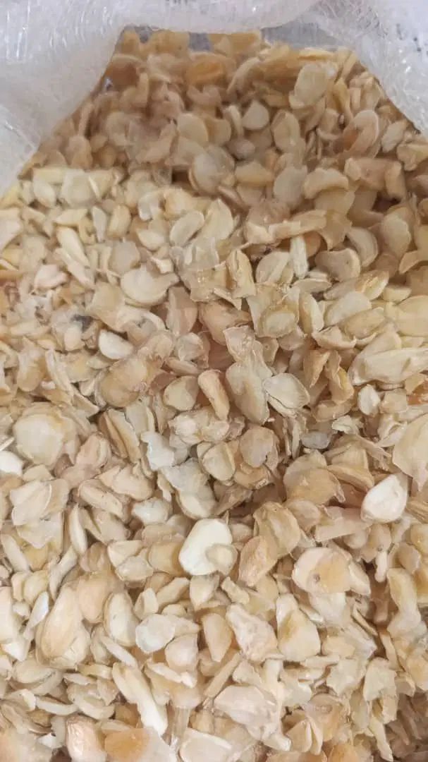 سیر اسلایس گوجه خشک پیاز خشک پاپریکا پودر سیر|خوردنی و آشامیدنی|تهران, آجودانیه|دیوار