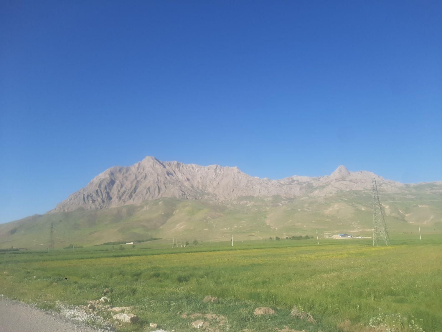 جوگندم|خدمات باغبانی و درختکاری|کیار, |دیوار