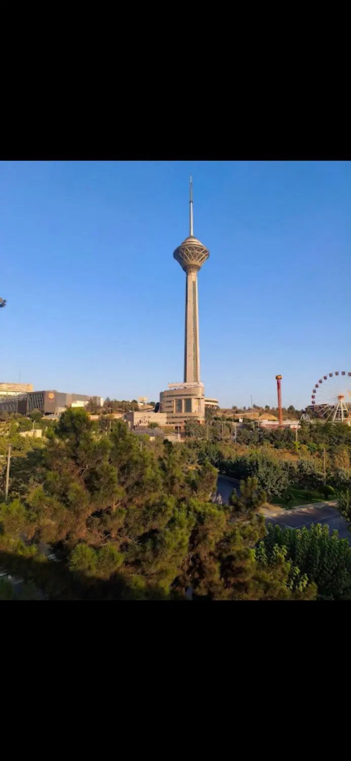 کسی هست بخواد تهران بره|فعالیت داوطلبانه تحقیقاتی|مشهد, هفت تیر (حافظ)|دیوار