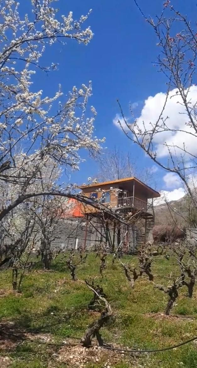 خونه باغ کلبه سویسی ویلا سویت|اجارهٔ کوتاه‌مدت ویلا و باغ|سی‌سخت, |دیوار