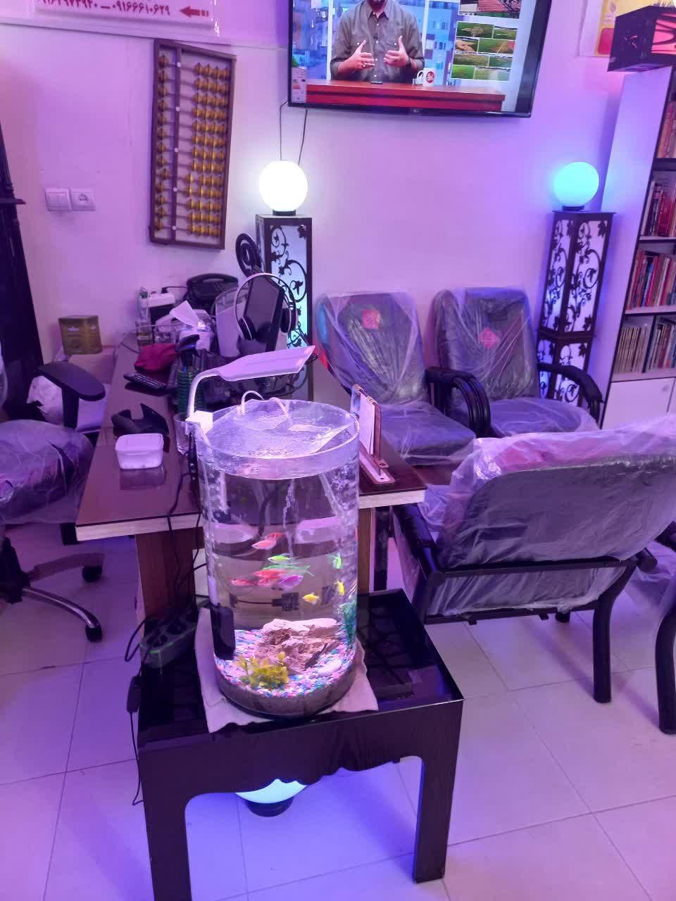 خانه محاسبات ذهنی و چرتکه نمایندگی رسمی|خدمات آموزشی|خرمآباد, |دیوار