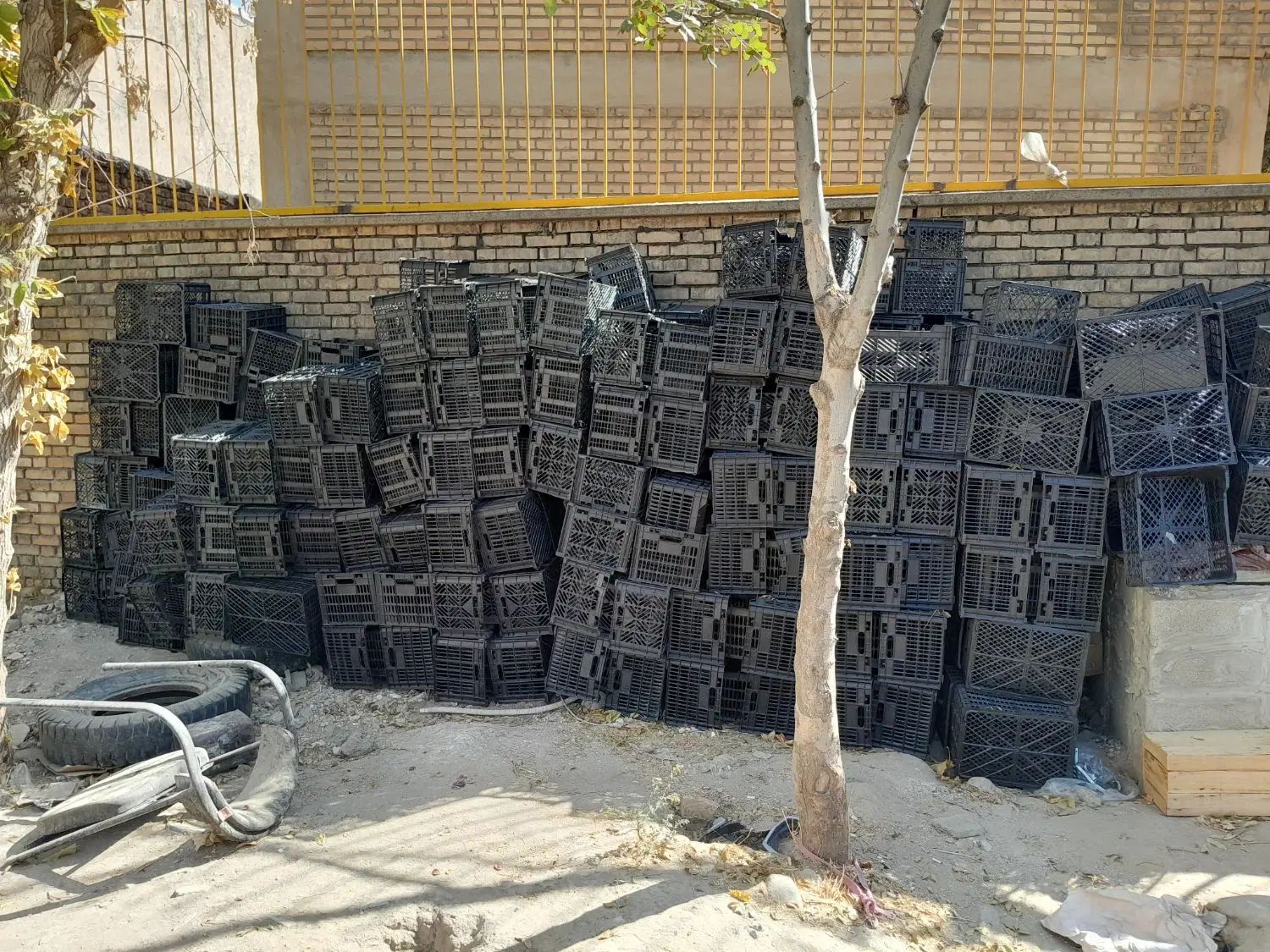 فروش سبد۱۴کیلویی جا سیب و گوجه درحدنوقیمت مناسب|عمده‌فروشی|بروجرد, |دیوار