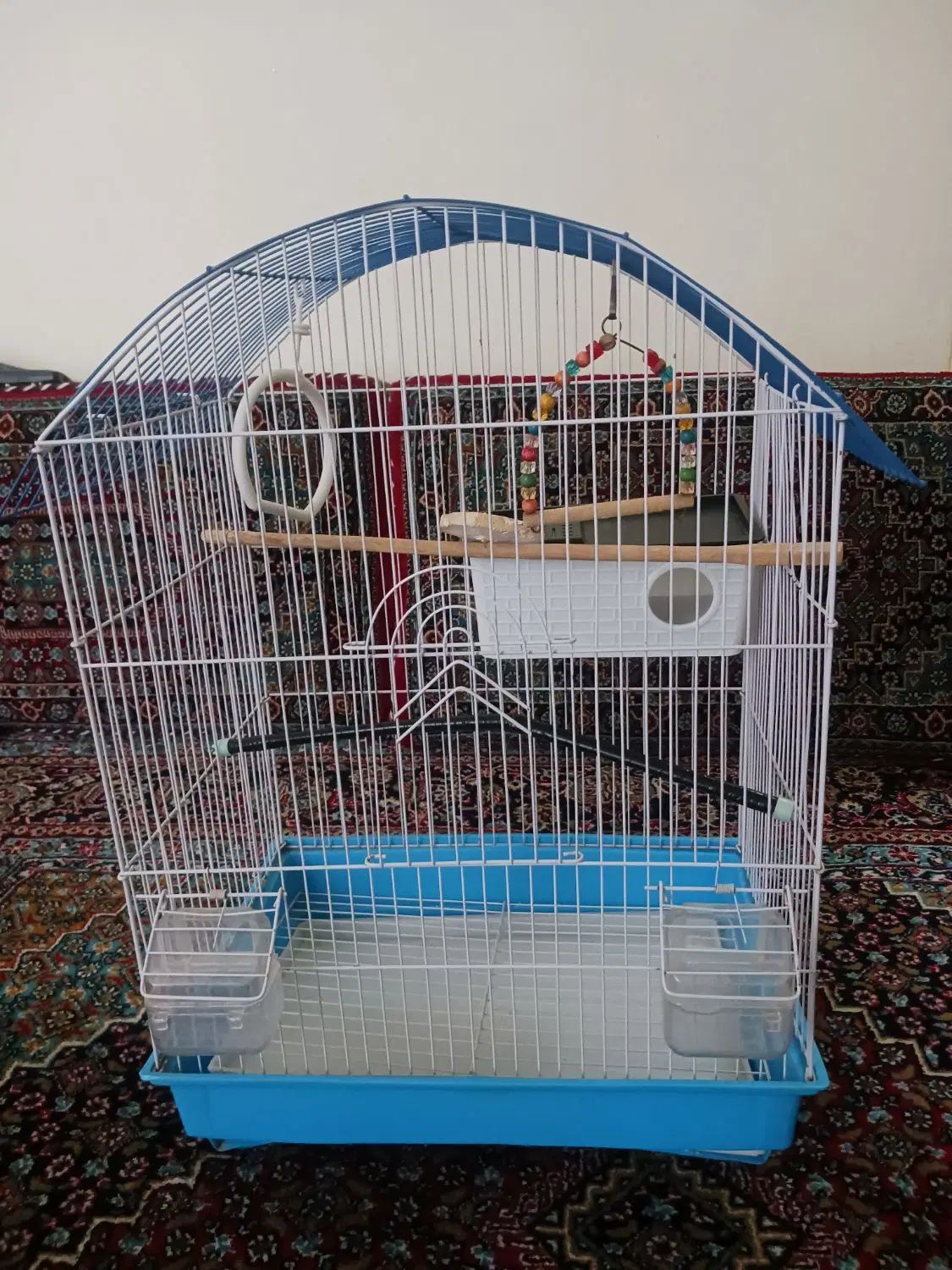 قفس پرنده|لوازم جانبی حیوانات|سنندج, |دیوار