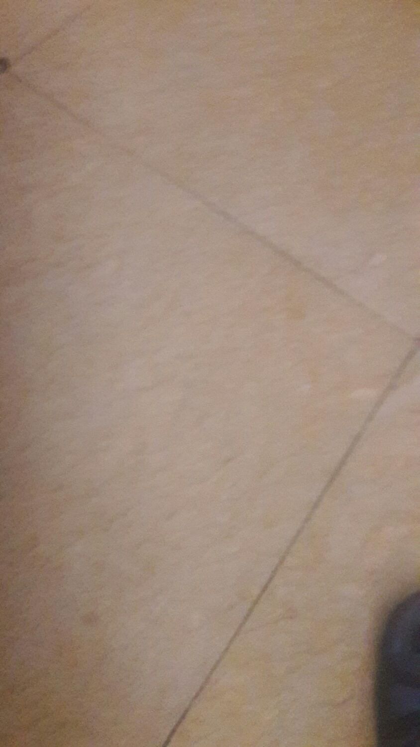 خدمات نظافت منزل و راه پله و غیره|خدمات نظافت|قرچک, شهرک طلائیه|دیوار