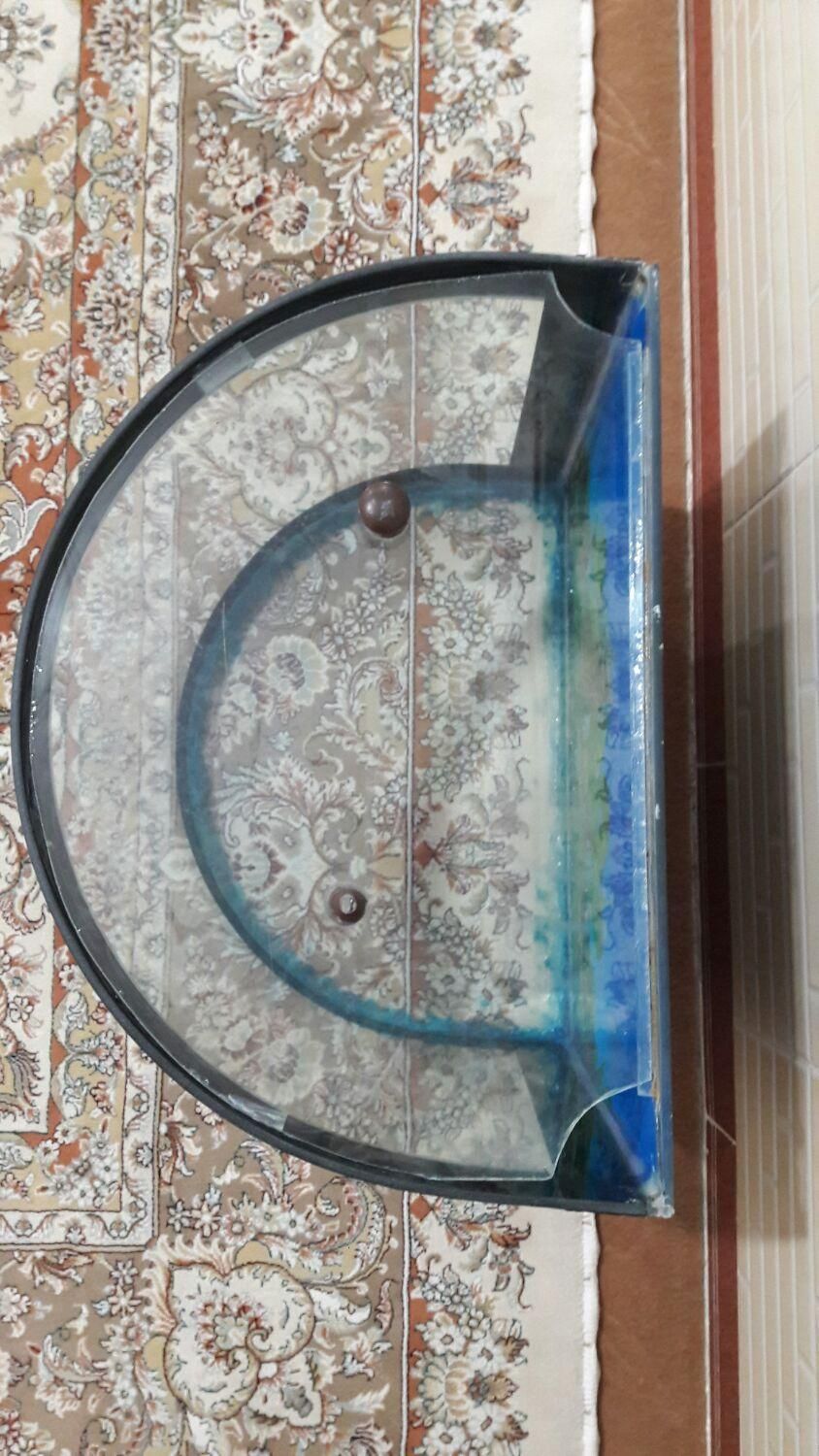 آکواریوم شیشه خم در حد نو|ماهی|کرمانشاه, |دیوار