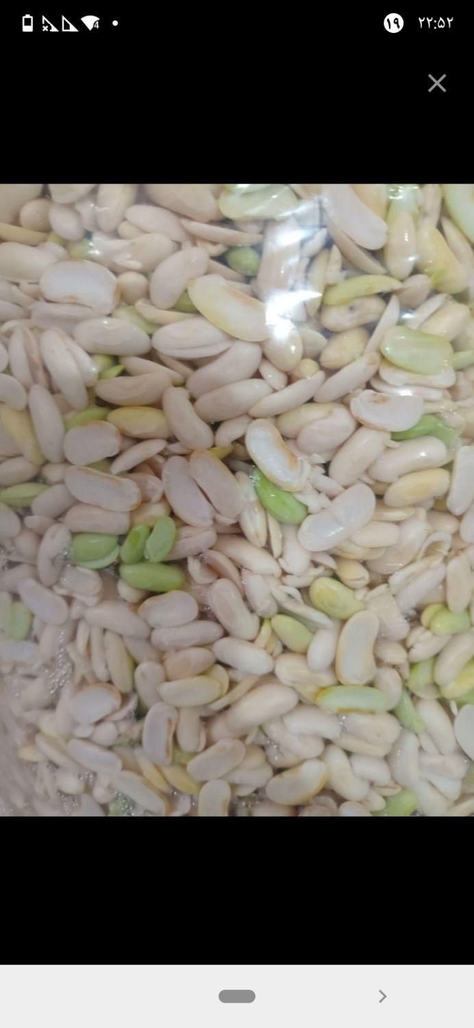 پاک کردن باقالی لوبیا خورد کردن لوبیا استانبولی|خوردنی و آشامیدنی|رشت, بوسار|دیوار