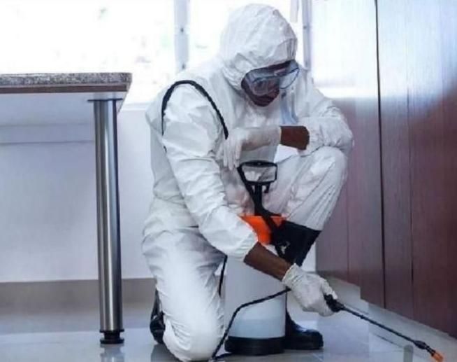 سمپاشی(موریانه زدایی) ضمانت کتبی/سم پاشی ساس سوسک|خدمات نظافت|آبادان, |دیوار