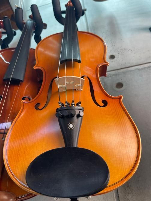 ویولن مبتدی و حرفه ای|ویولن|مبارکه, |دیوار