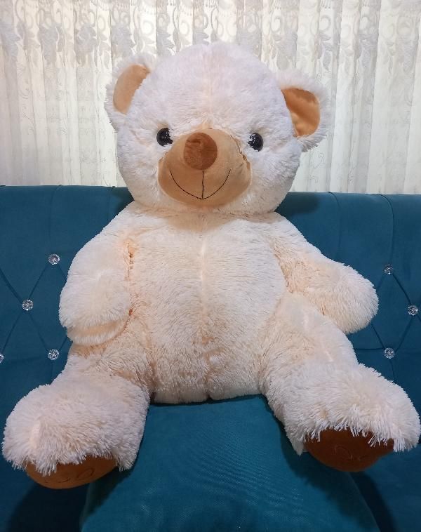 عروسک خرسی|اسباب‌‌بازی|نور, |دیوار