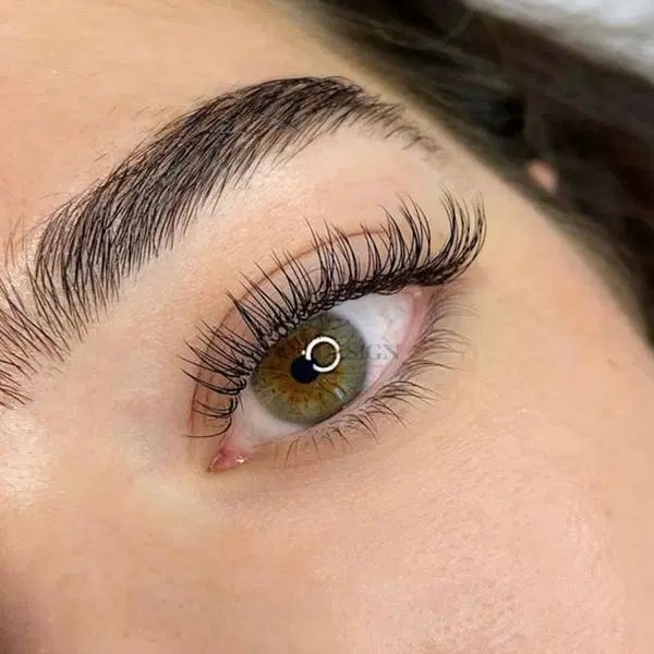 آموزش کاشت مژه با مدرک کارورزی رایگان 800|خدمات آموزشی|مشهد, دانشجو|دیوار