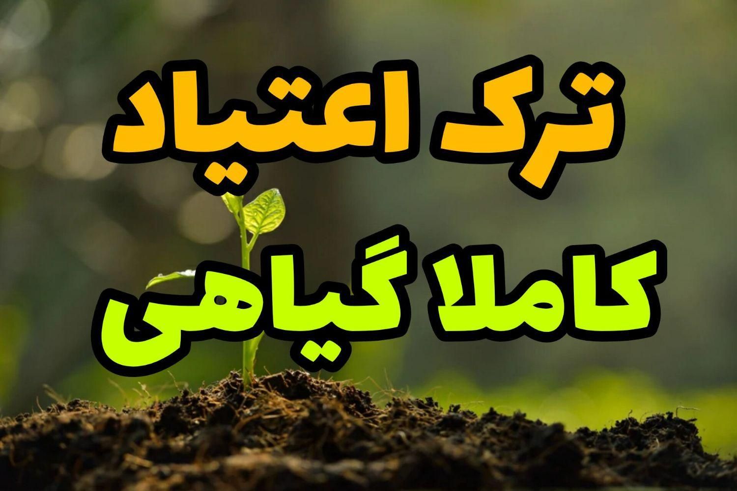 ترک ب۲ متادون در یزد|خدمات آرایشگری و زیبایی|یزد, |دیوار