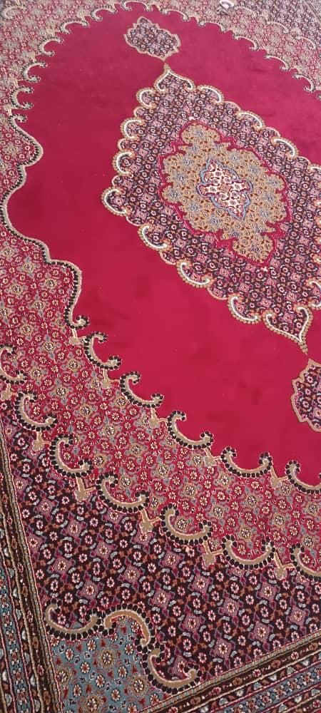 فرش تمیز|فرش|اندیمشک, |دیوار