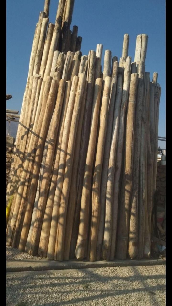 خریدار چوب سقفی|خدمات باغبانی و درختکاری|نیشابور, شهید بهشتی|دیوار