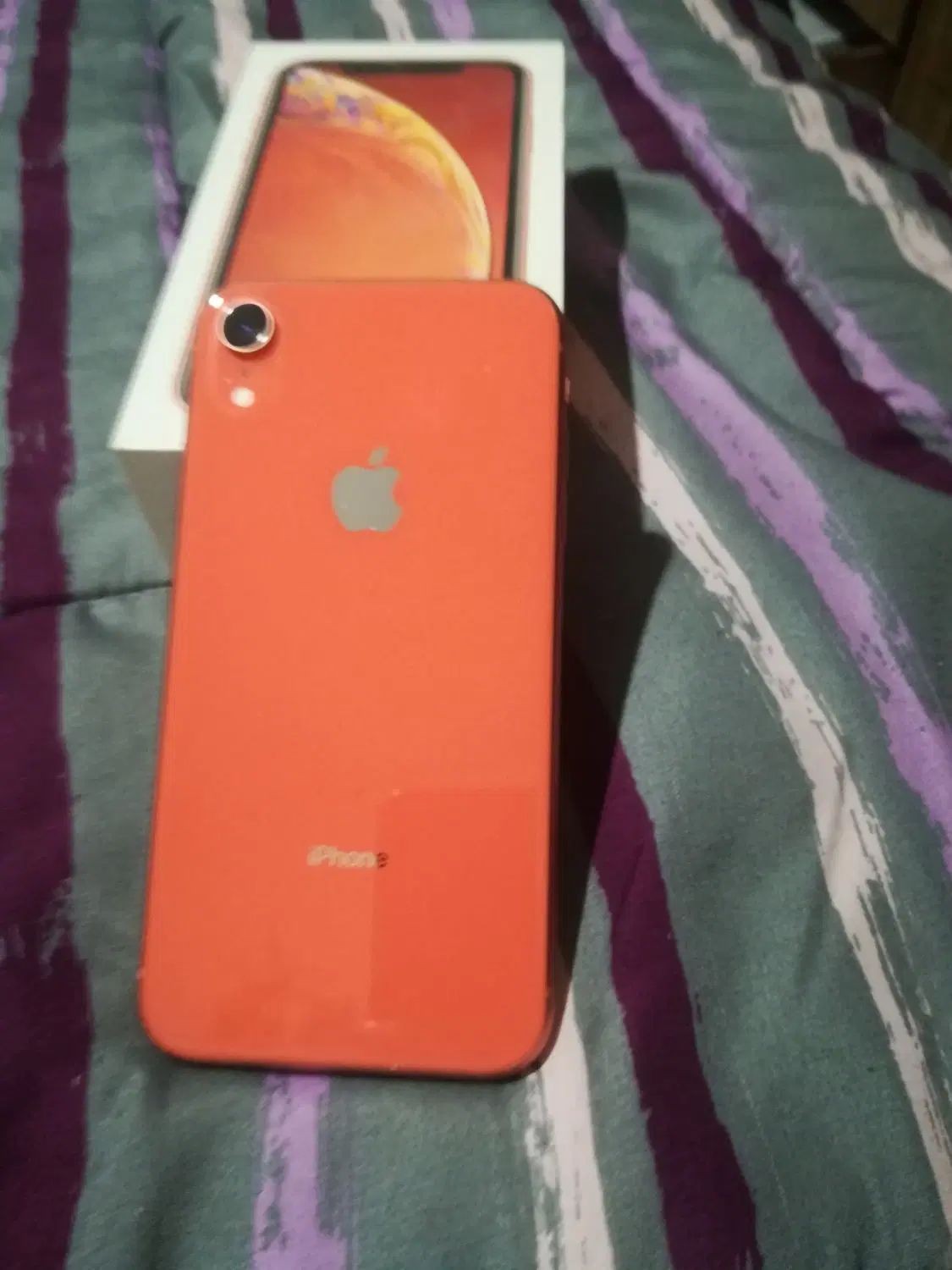 اپل iPhone XR با حافظهٔ ۶۴ گیگابایت|موبایل|مشهد, شاهد (شهرک غرب)|دیوار