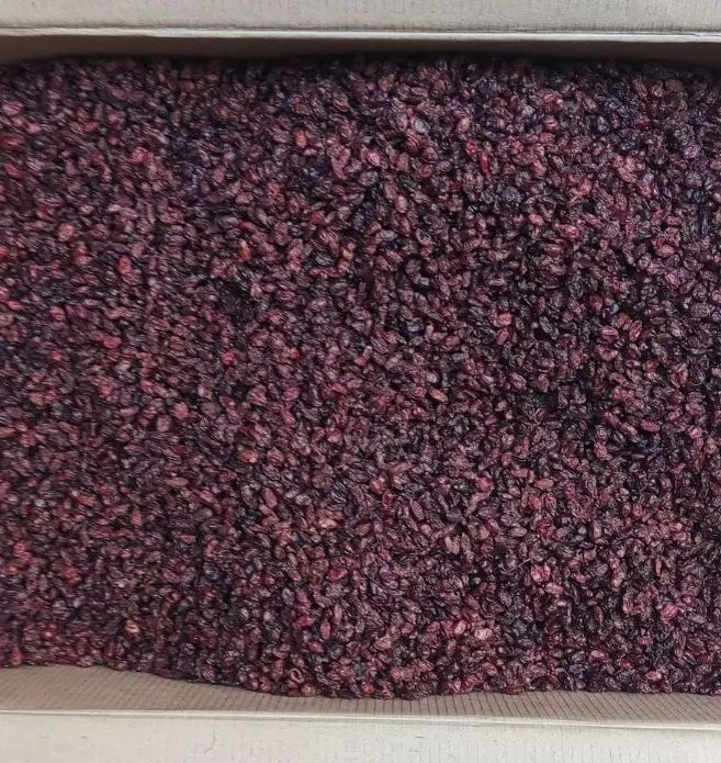 زرشک اناری تیره رنگ مناسب رستوران و آبگیری عمده|خوردنی و آشامیدنی|تهران, جیحون|دیوار