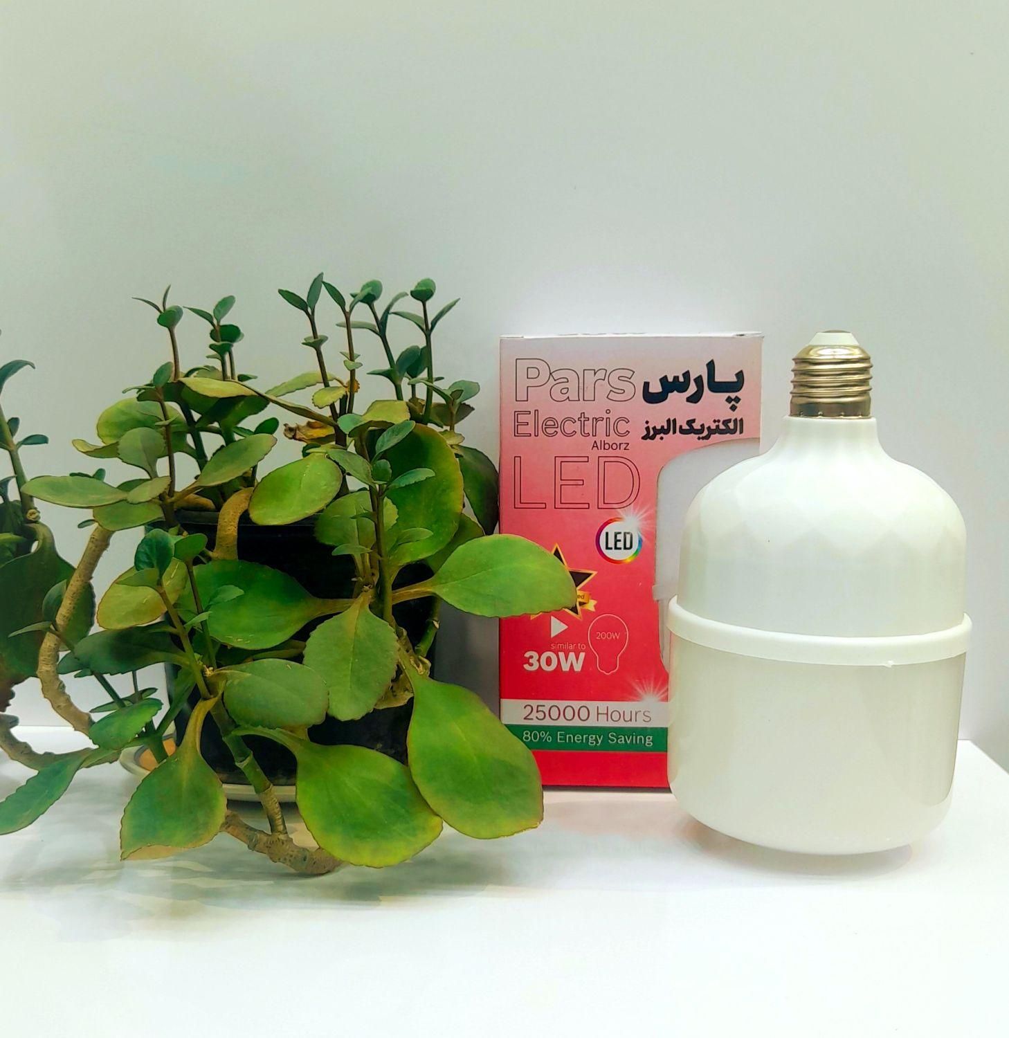 لامپ۳۰ وات|لامپ و چراغ|اصفهان, لاله|دیوار