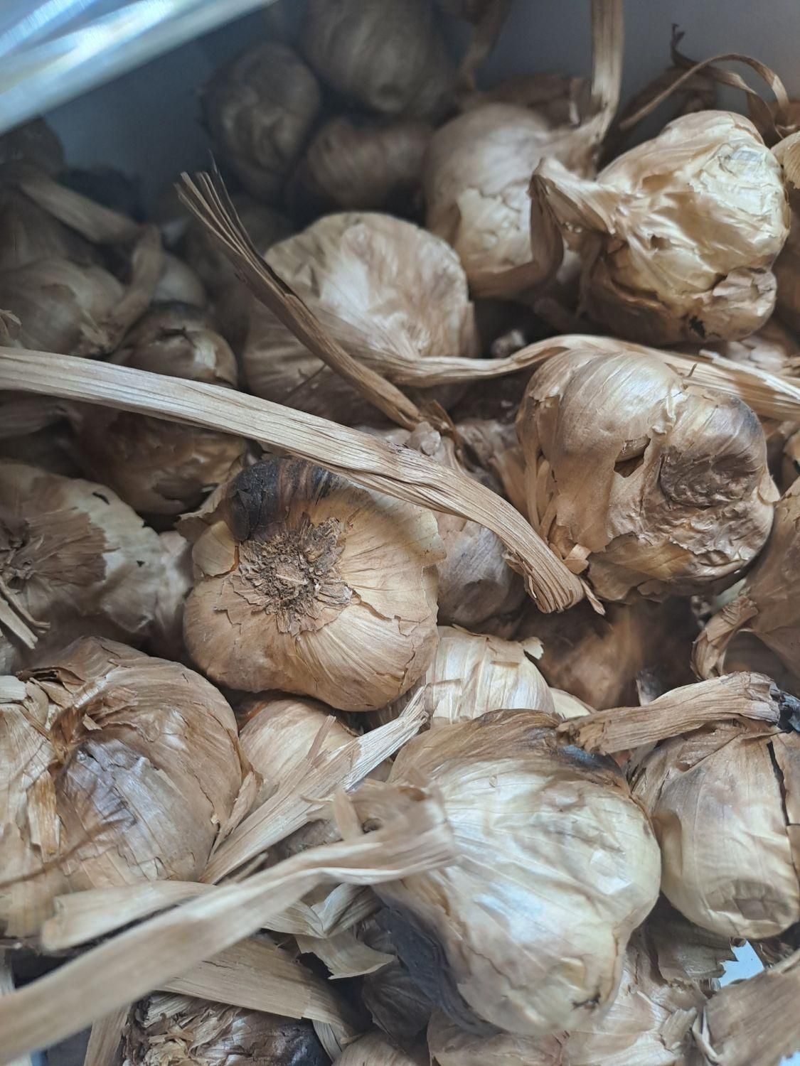 سیر سیاه درمانی عمده ‌جزئی مستقیم|خوردنی و آشامیدنی|تهران, مینا|دیوار