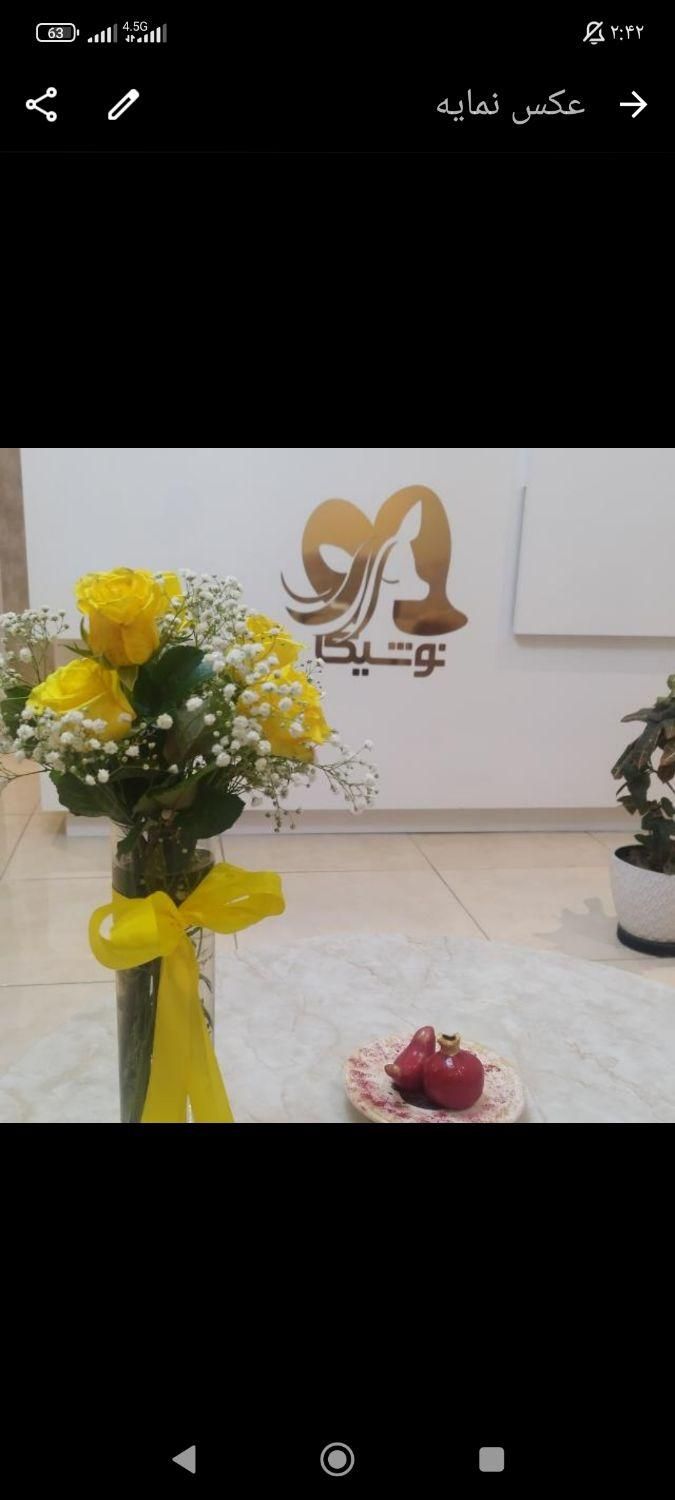 بوتاکس زیر بغل در کلینیک زیبایی با تخفیف ویژه|خدمات آرایشگری و زیبایی|ساری, |دیوار