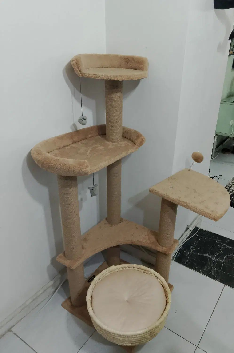 وسایل خانه درختی باکس جای دستشویی گربه و خاک گربه|لوازم جانبی حیوانات|کرج, حسین‌آباد|دیوار