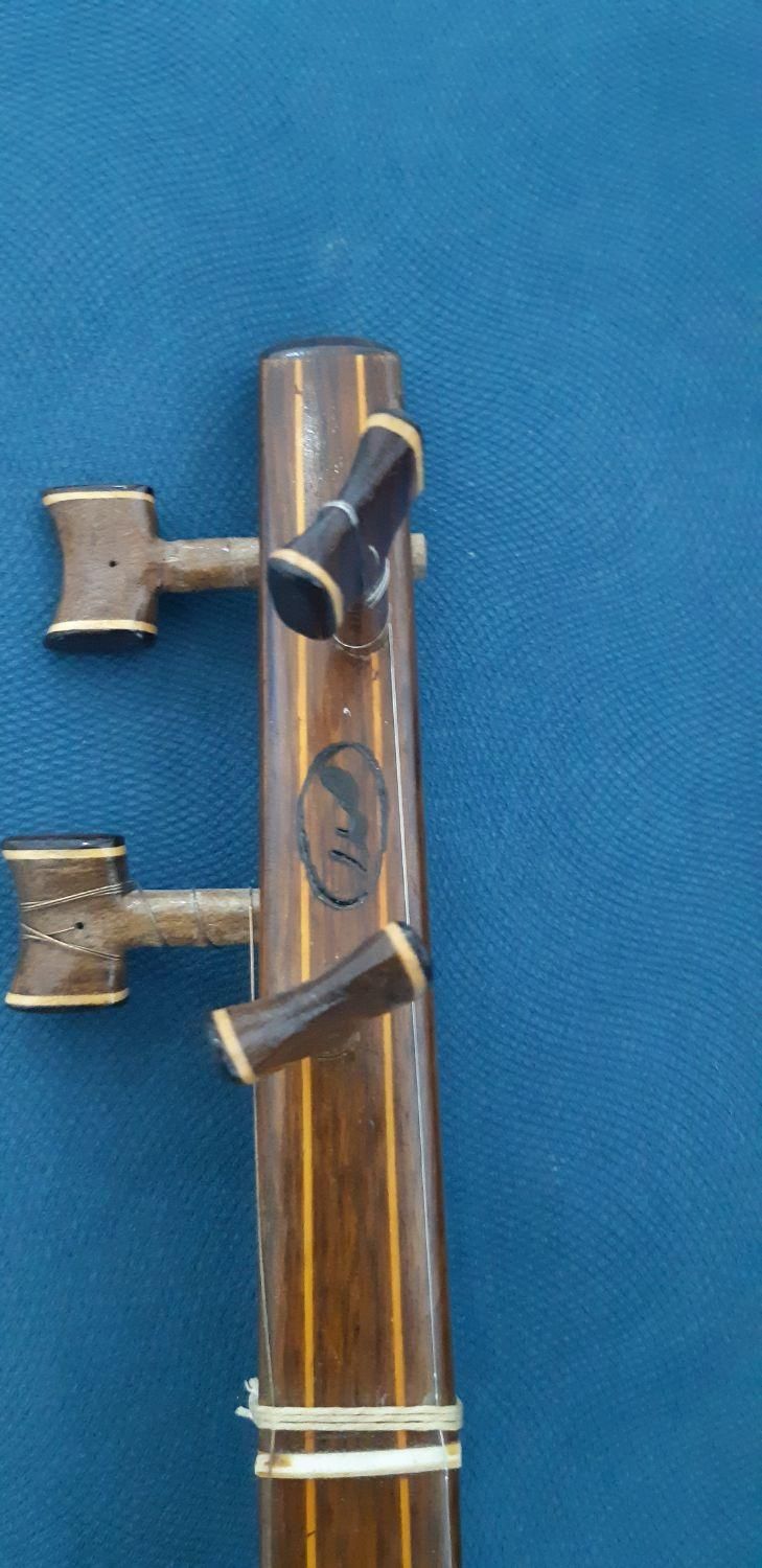 سه تار (حرفه ای)|سازهای سنتی|شیراز, باغ تخت|دیوار