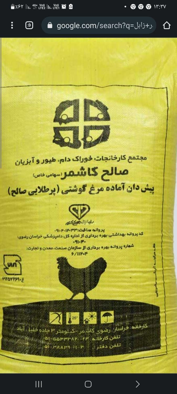 نمایندگی دانه مرغی صالح کاشمر|عمدهفروشی|زابل, |دیوار