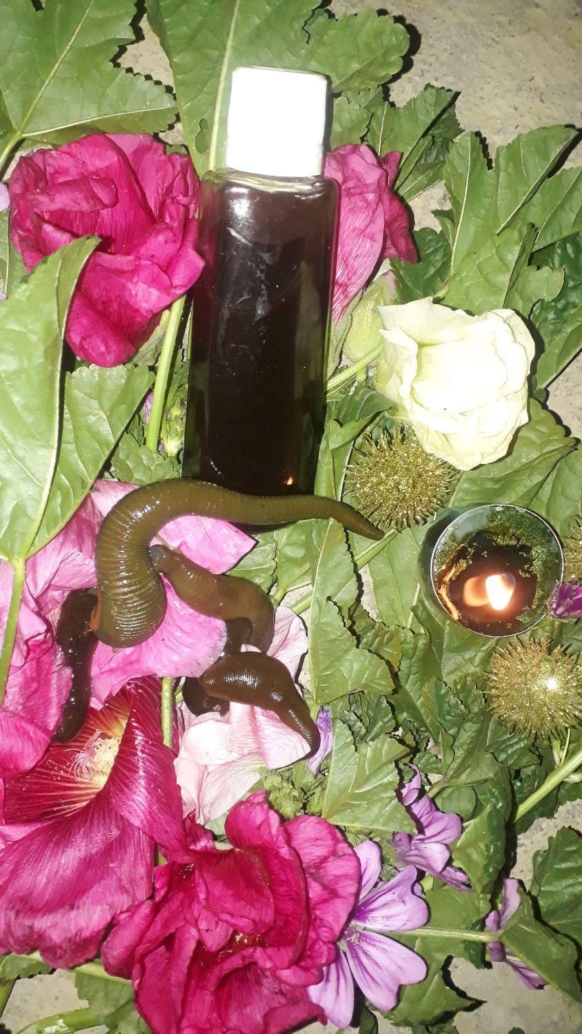 روغن خراطین بامیکس زالو صددرصدطبیعی وتضمینی|آرایشی، بهداشتی، درمانی|قم, میرزائیه|دیوار