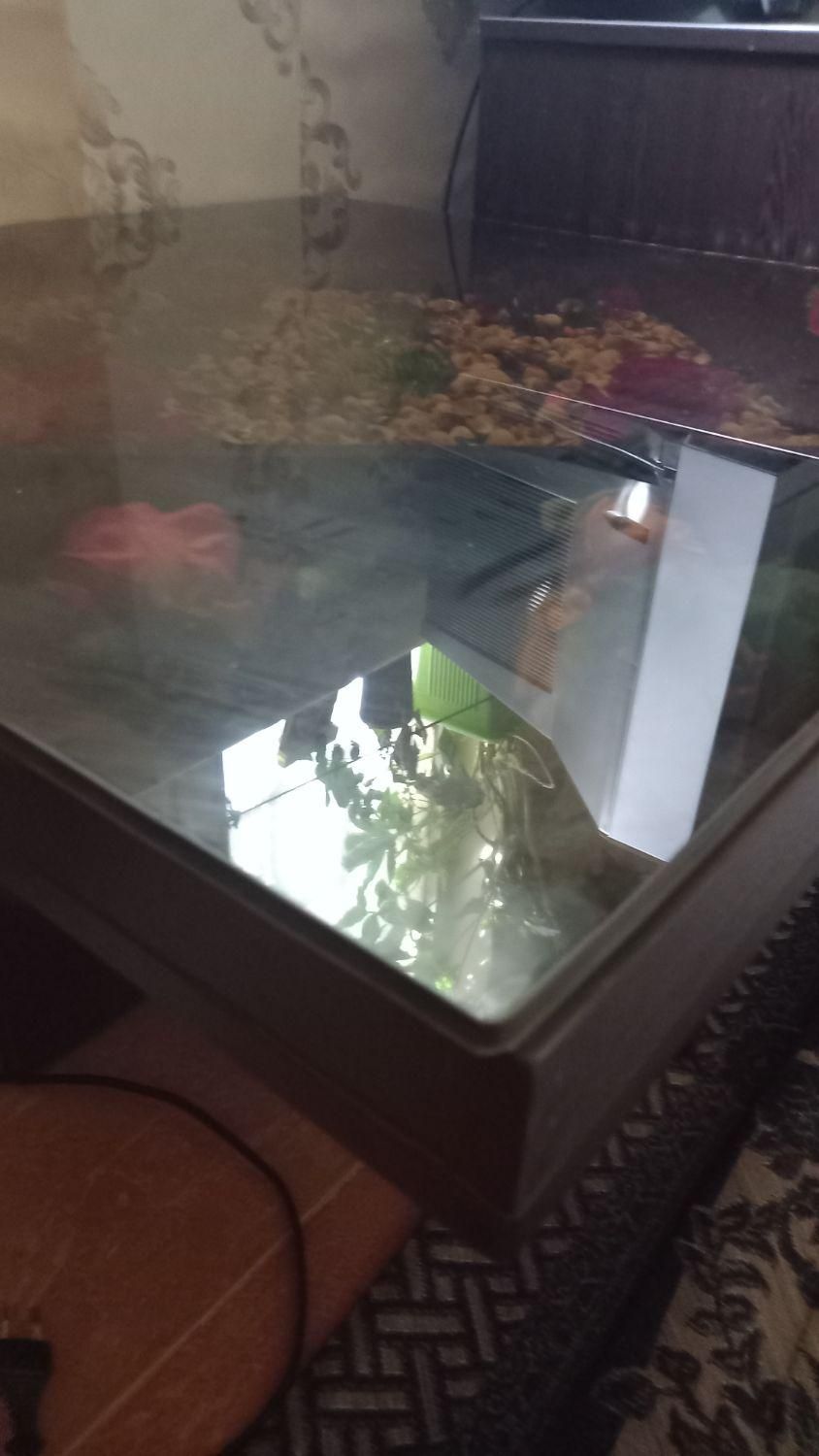 میز عسلی بزرگ|مبلمان خانگی و میز عسلی|فردیس, شهرک ناز|دیوار