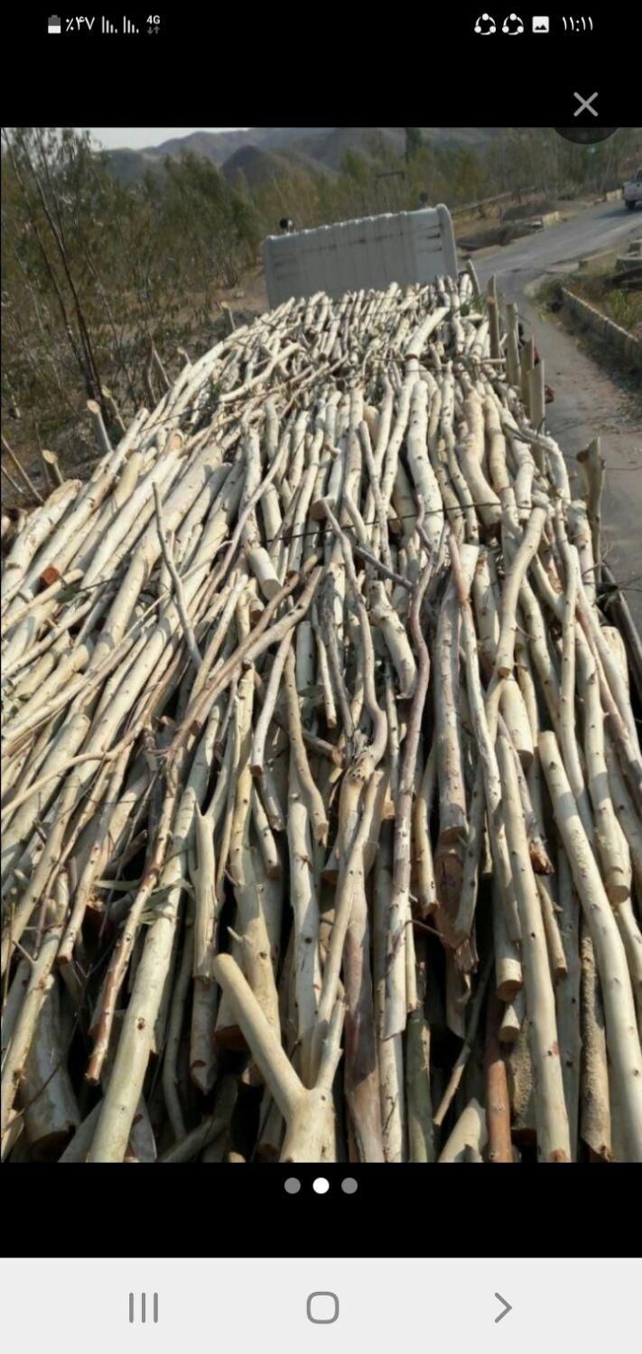 خرید چوب|خدمات باغبانی و درختکاری|خرمآباد, |دیوار