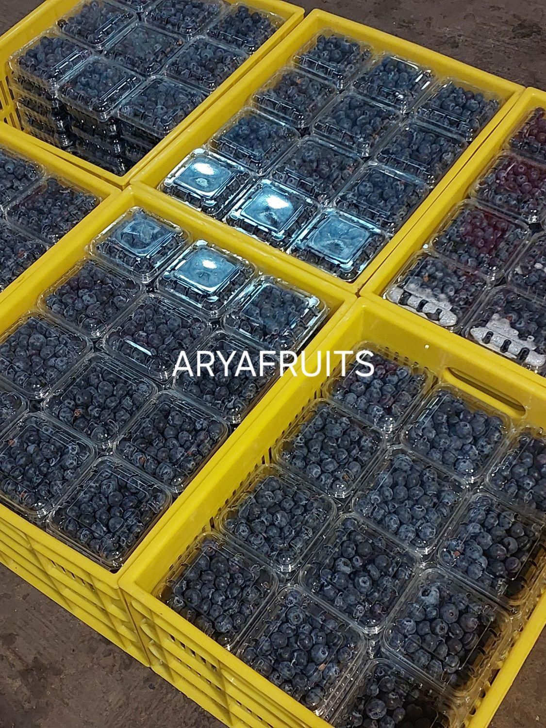 بلوبری فریز و تازه ایرانی گلخانه ای|خوردنی و آشامیدنی|تهران, شهرک شریعتی|دیوار