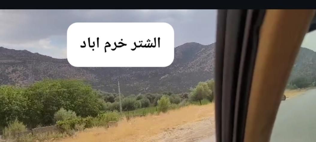 تاکسی بوشهر دربستی پارس راننده پایه یک 27|خدمات حمل و نقل|بوشهر, |دیوار