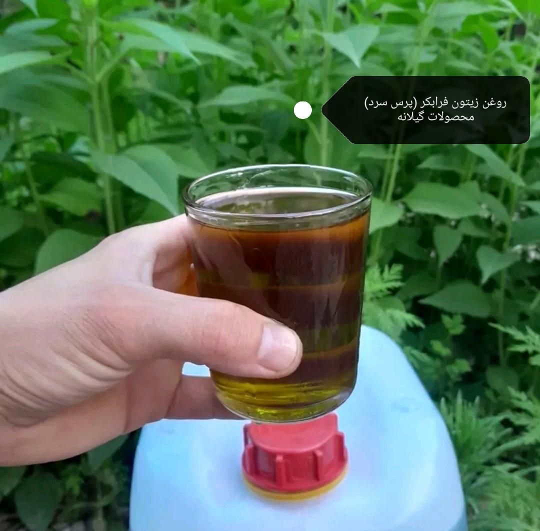 روغن زیتون بِکر و فرابکر طارم (تضمین خالصی)|خوردنی و آشامیدنی|رشت, فلسطین|دیوار