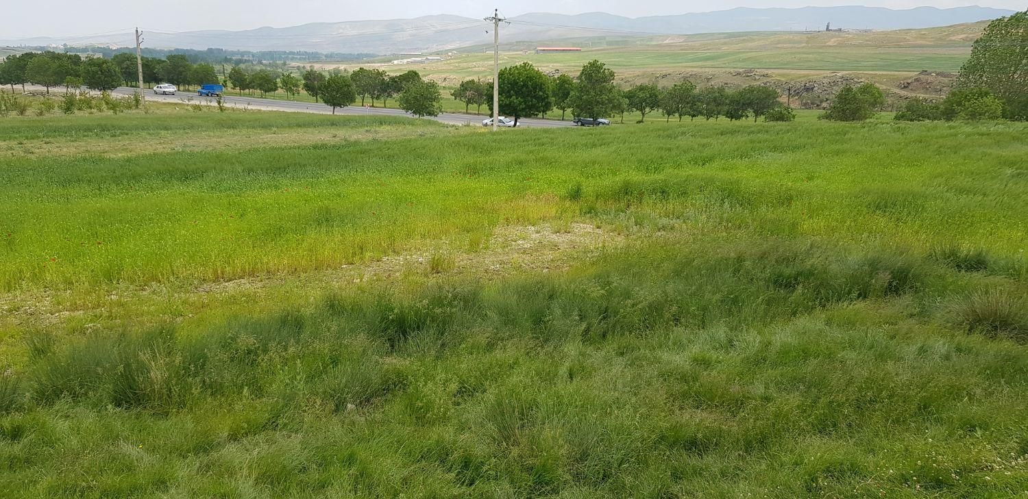 فروش زمین بحر جاده اصلی|فروش زمین و ملک کلنگی|نیر (اردبیل), |دیوار