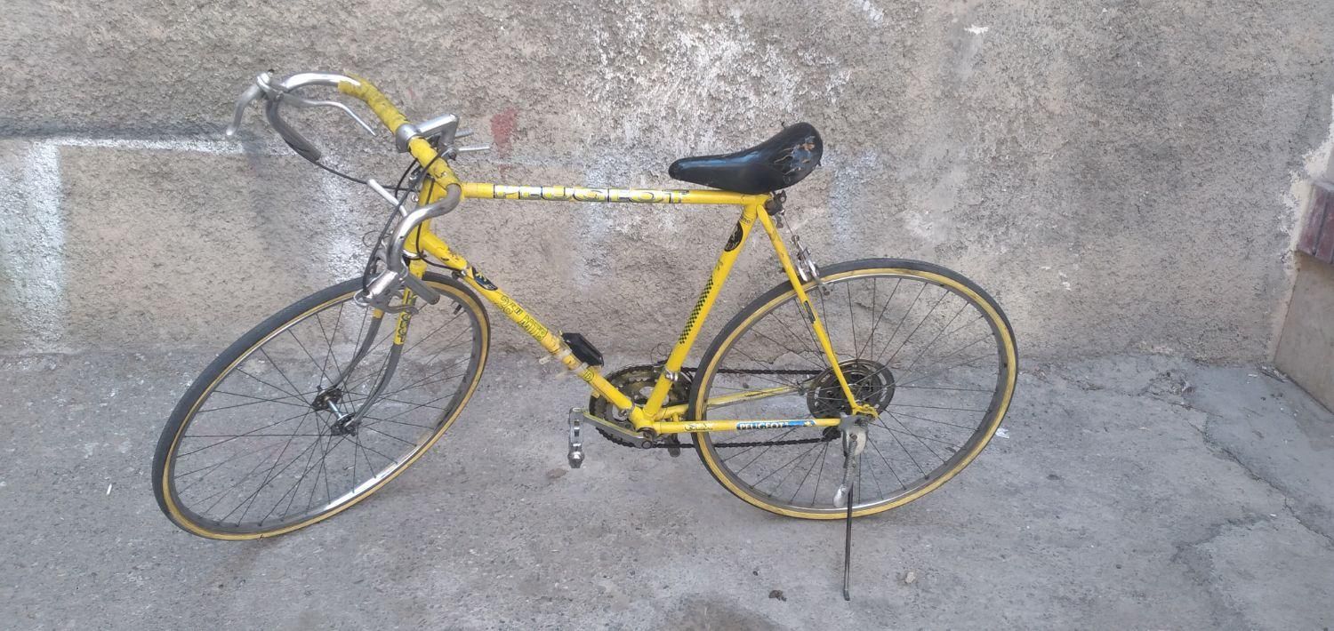 دوچرخه کورسی مارک پژو سالم|دوچرخه، اسکیت، اسکوتر|تهران, شاهین|دیوار