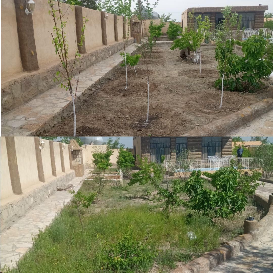 باغبانی هرس گل و نهال کاری جابجایی نهال درخت|خدمات باغبانی و درختکاری|مشهد, توس (بلوار توس)|دیوار