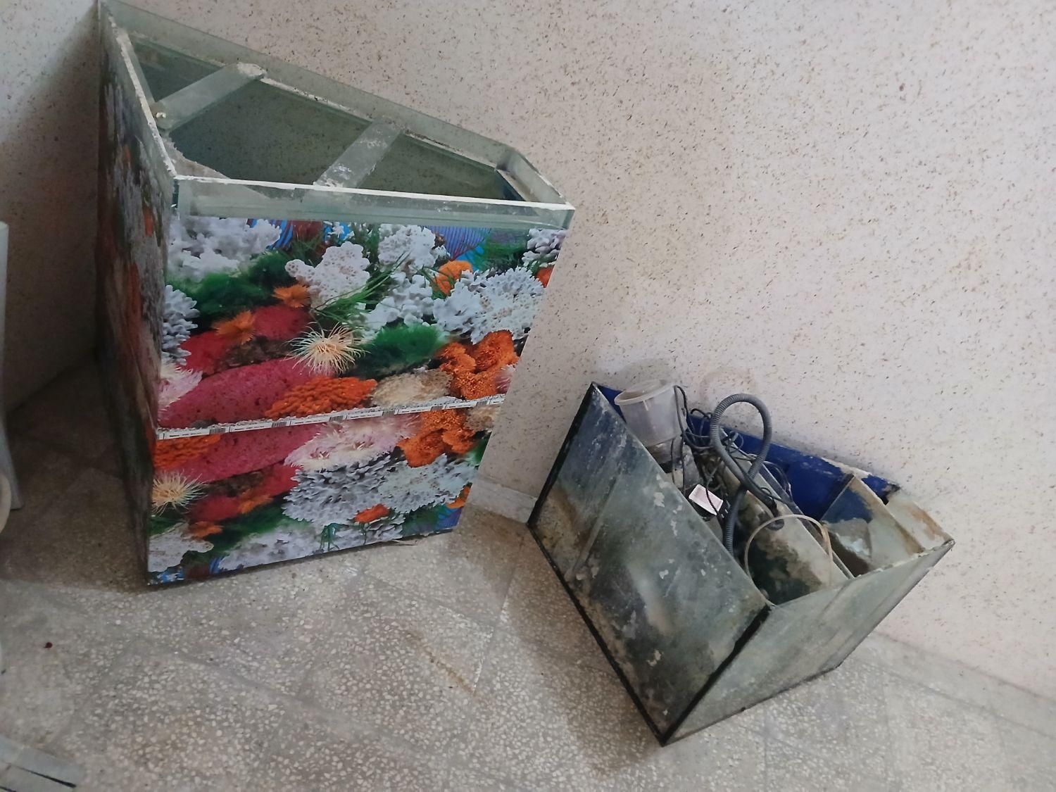 آکواریوم ماهی|ماهی|شیراز, معالی‌آباد|دیوار