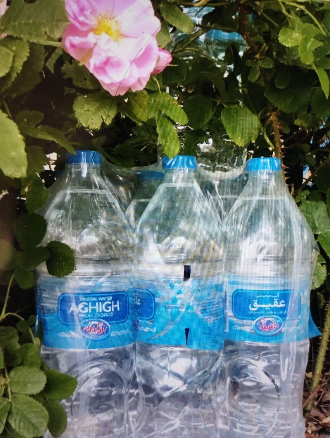 آب معدنی عقیق (تحویل فوری شهر ری)|خوردنی و آشامیدنی|تهران, اقدسیه|دیوار