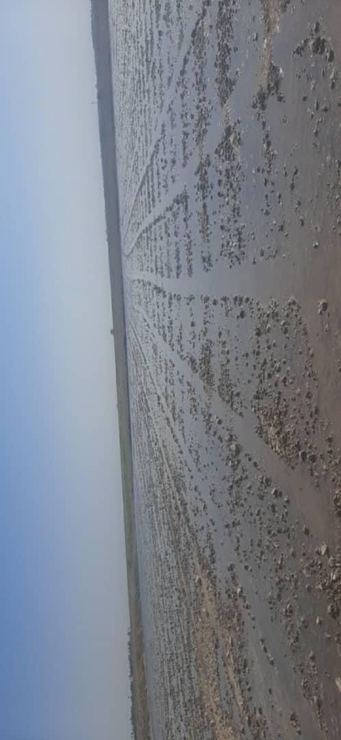 تسطیح لیزری|خدمات باغبانی و درختکاری|شوشتر, |دیوار