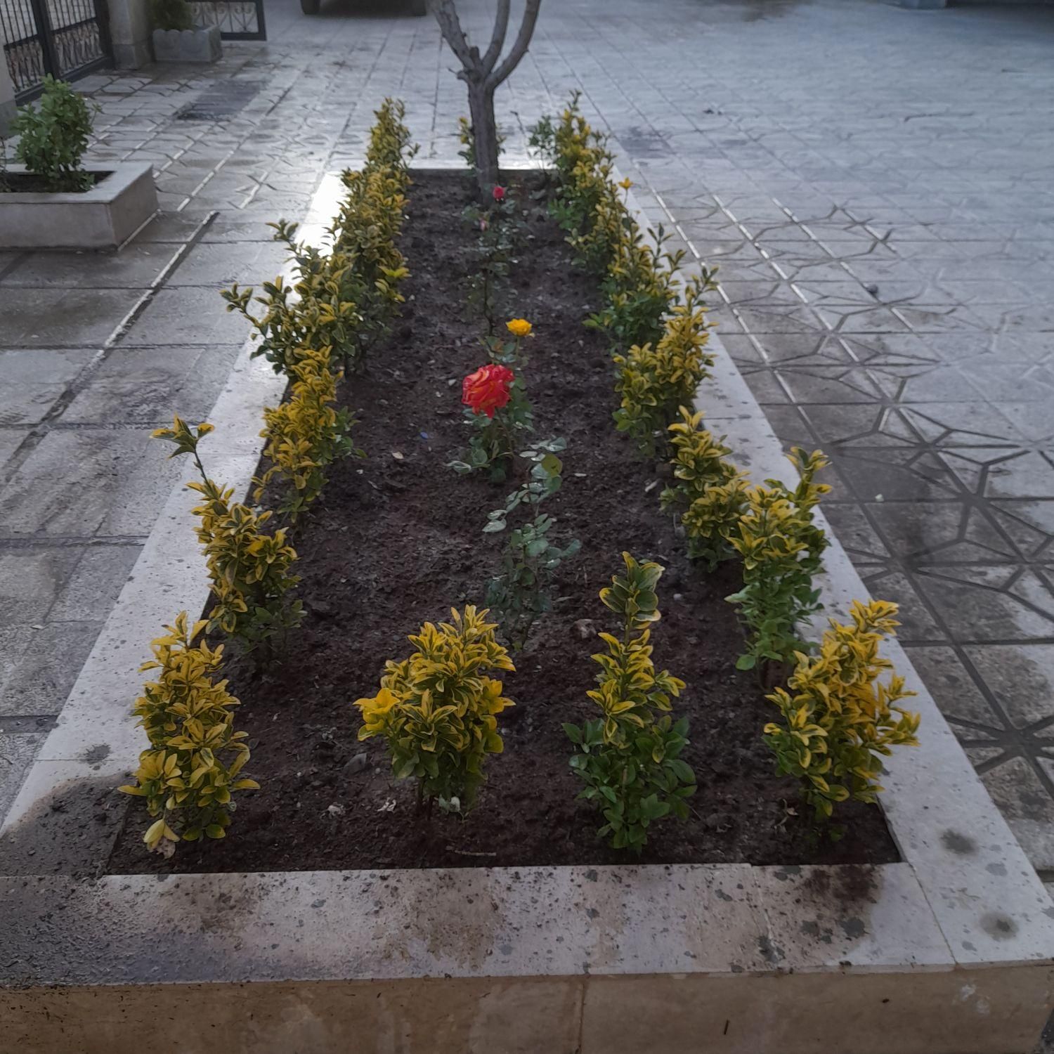 باغبانی سمپاشی هرس کاری تیلرزدن تعویض خاک گلدان|خدمات باغبانی و درختکاری|مشهد, هفت تیر (آب و برق)|دیوار