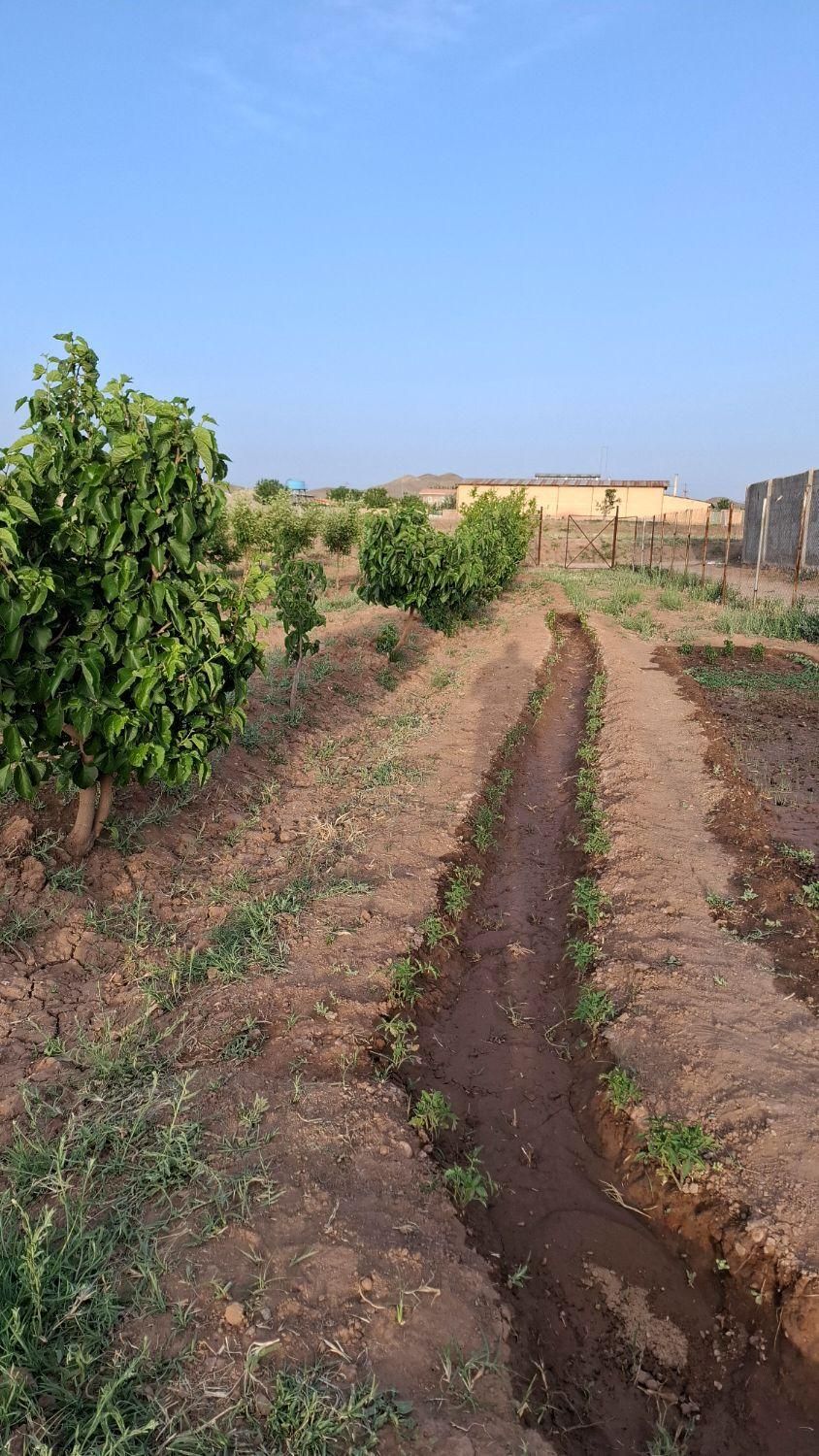 باغ روستای راهجرد(سه راهی آشتیان)|فروش زمین و ملک کلنگی|قم, نیروگاه|دیوار