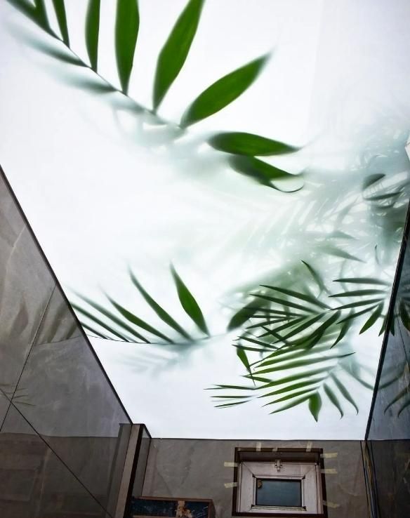 نمایندگی سقف لابل با گارانتی ۱۲ ساله|مصالح و تجهیزات ساختمان|رشت, گلسار|دیوار