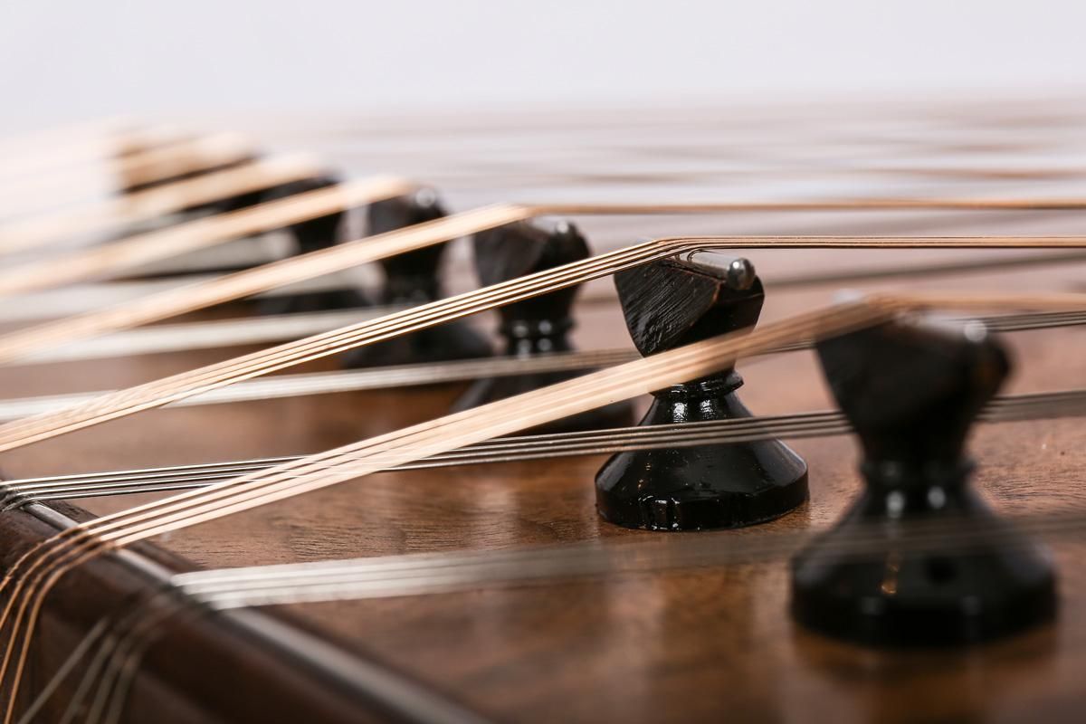 آموزش خصوصی سنتور|خدمات آموزشی|کرج, گوهردشت|دیوار